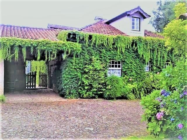 Bed and Breakfast Casa Da Roseira Ponte de Lima Exteriér fotografie